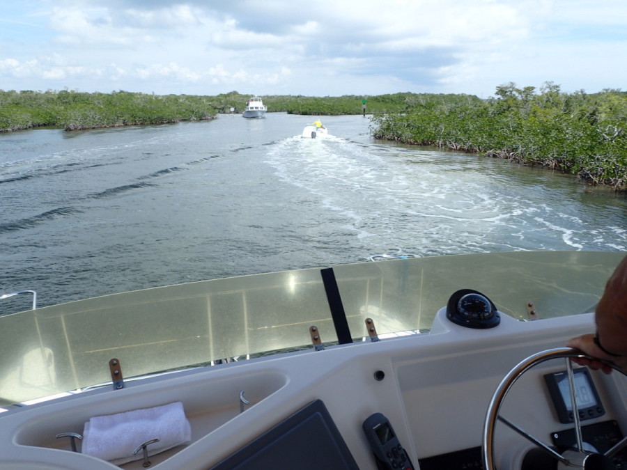 The entrance to Largo Basin (John Pennekamp State park) was long winding and busy, with lots of tour boats coming and going to the offshore reefs.....